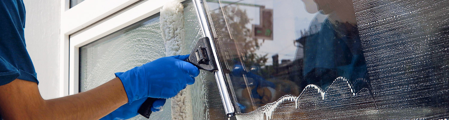 Window Washing Services